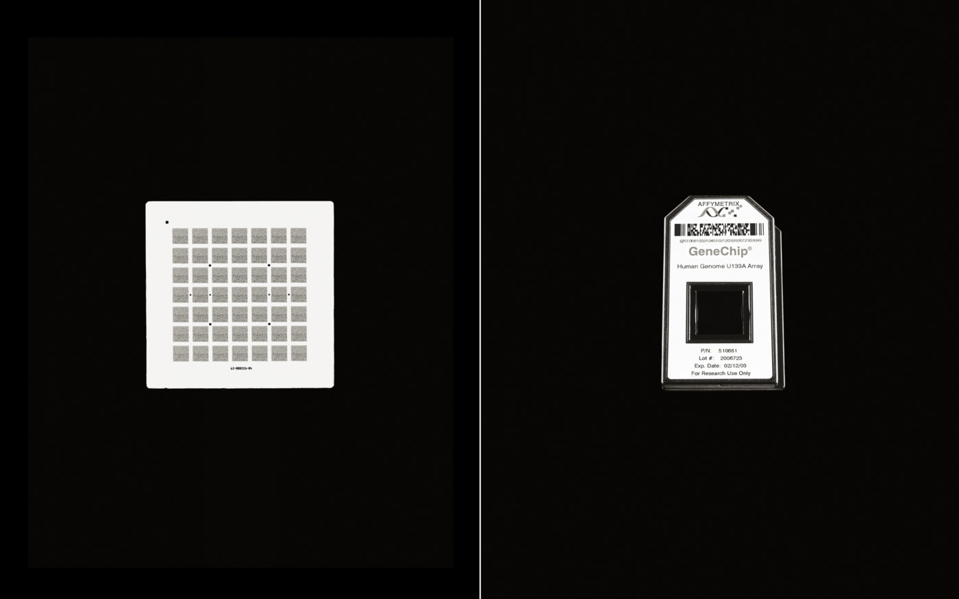 Affymetrix _ History Of The Gene Chip