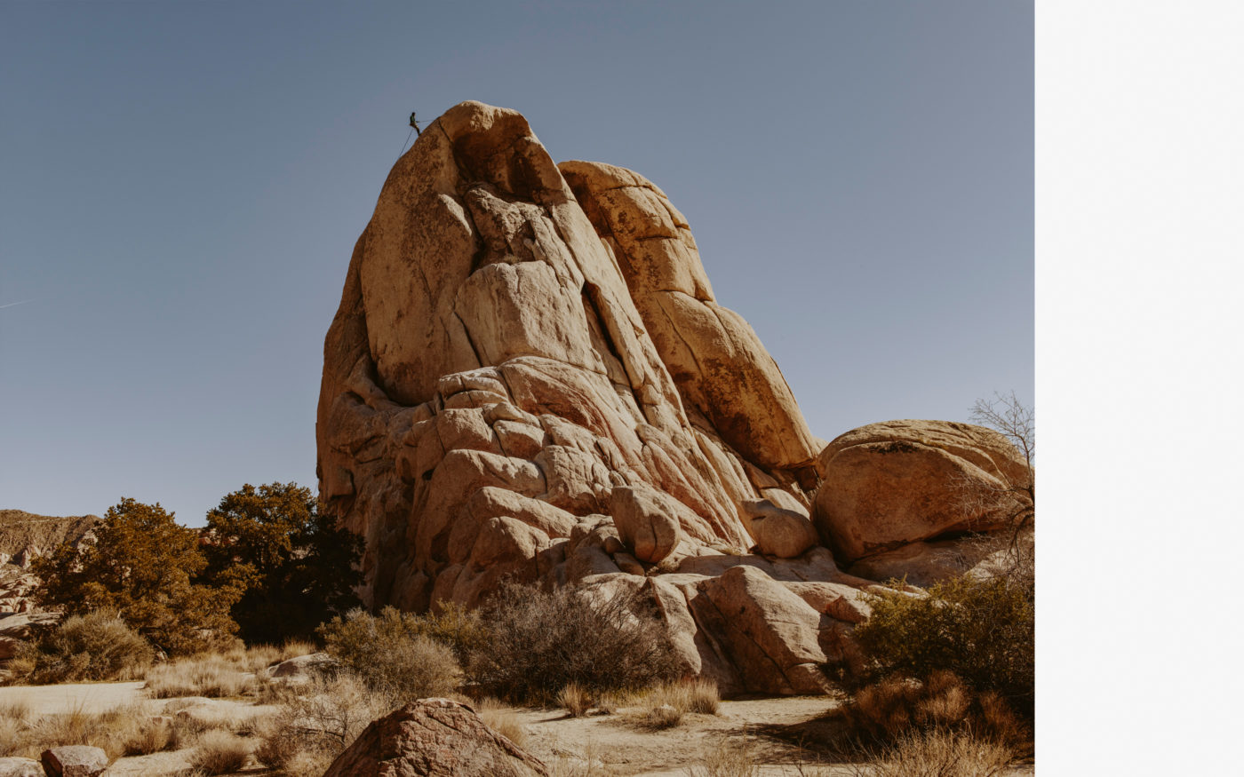 Joshua Tree, California