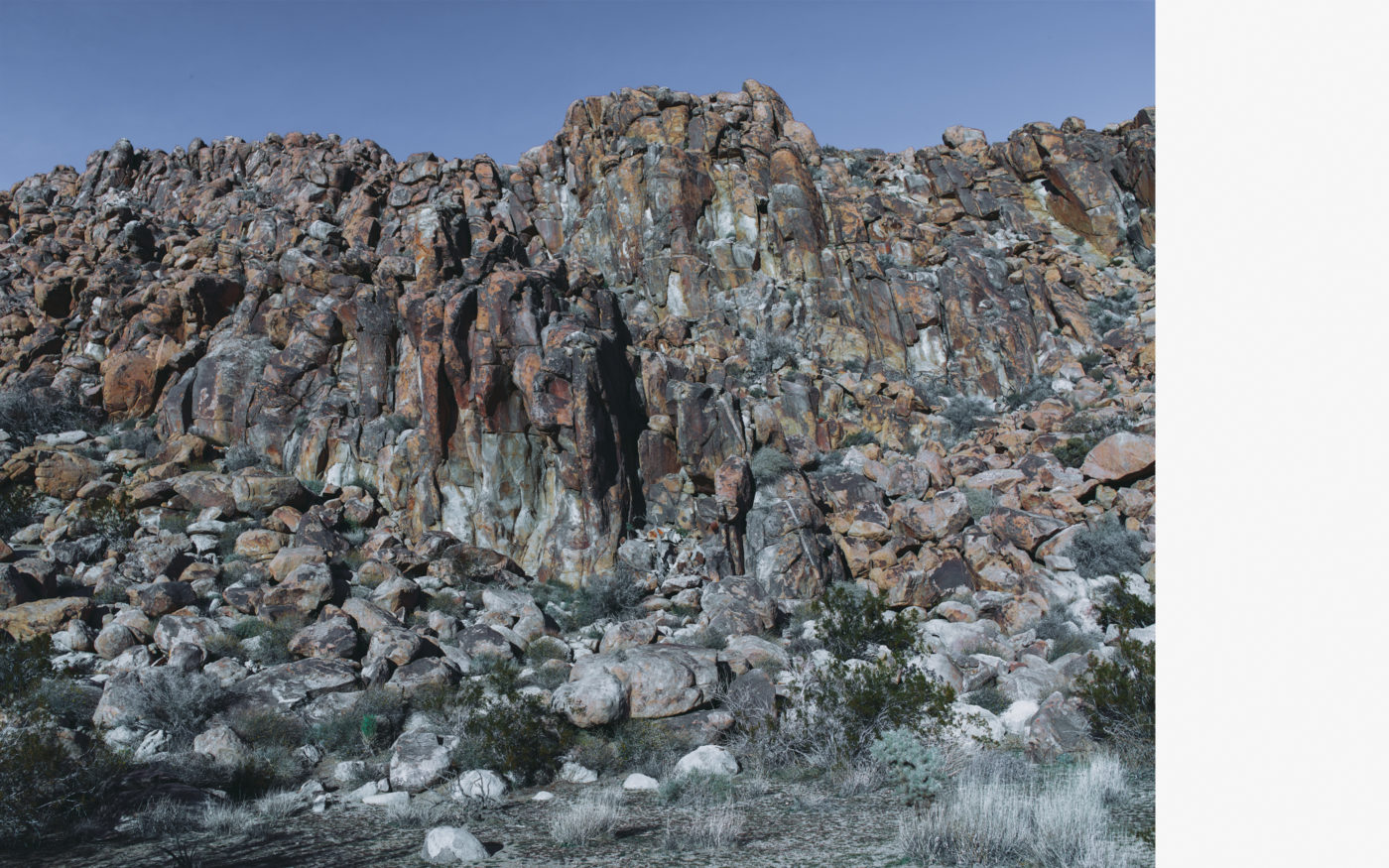 Joshua Tree, California