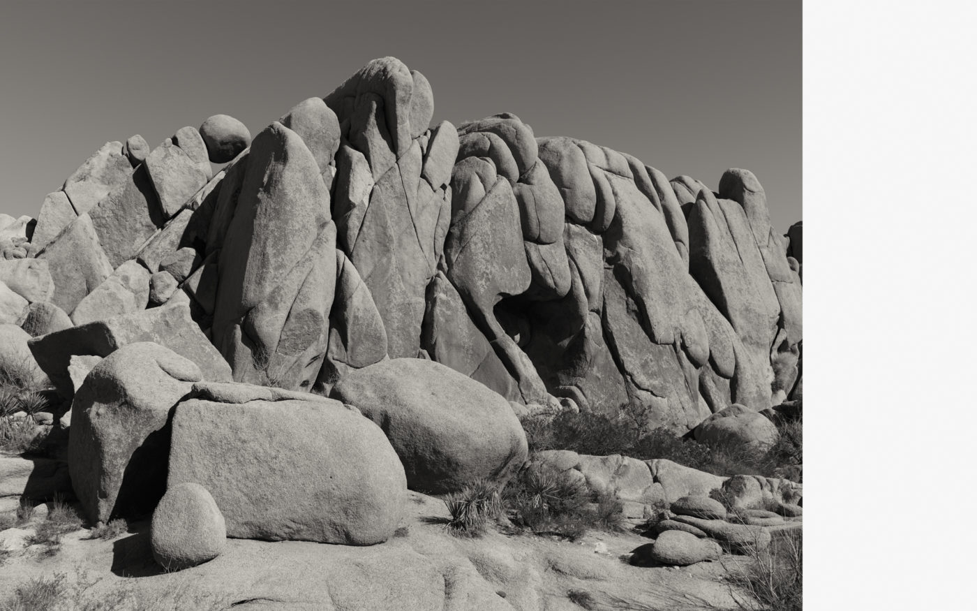 Joshua Tree, California