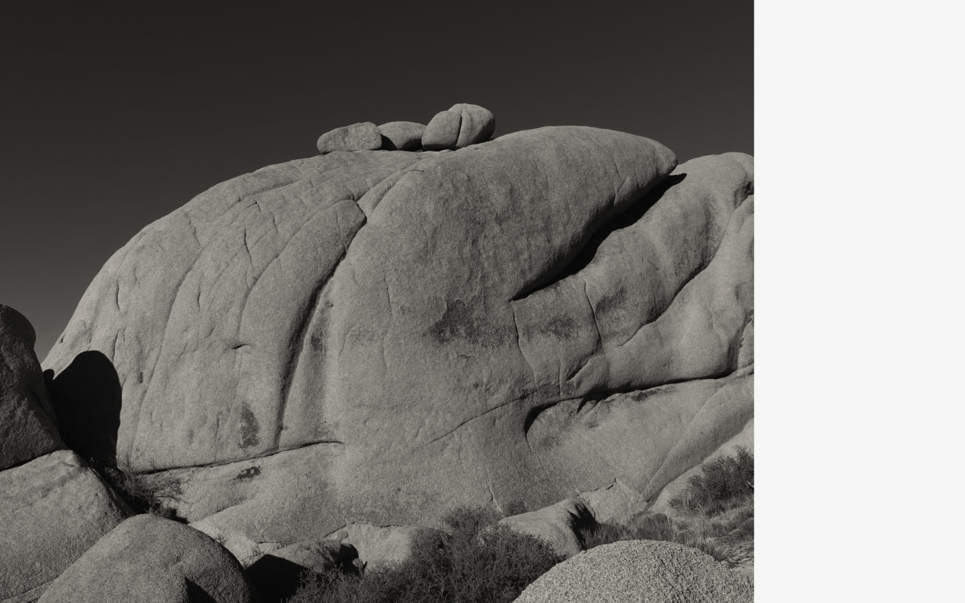 Joshua Tree, California