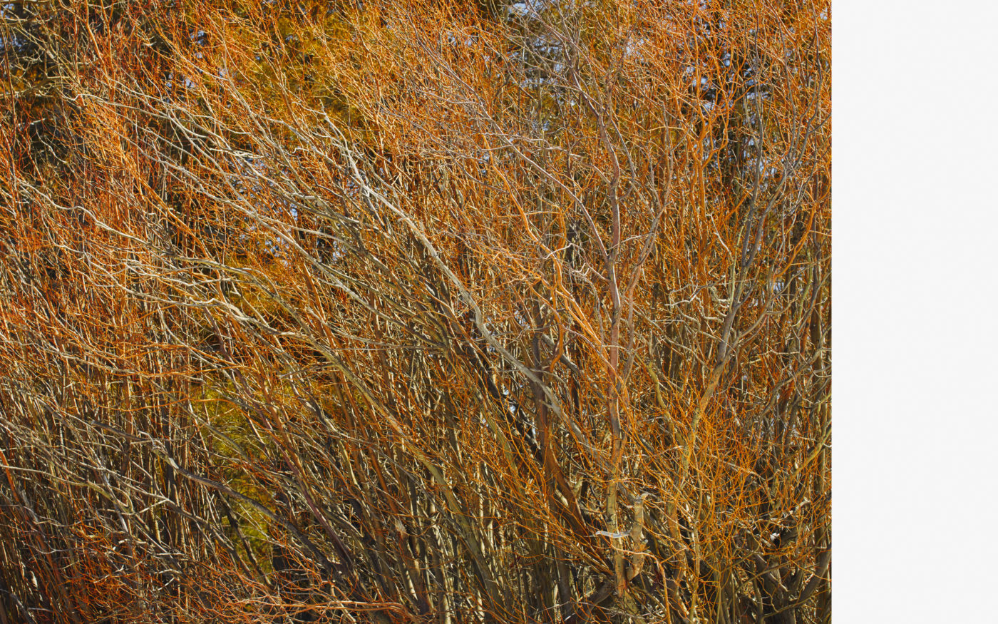 Lake Tahoe, California