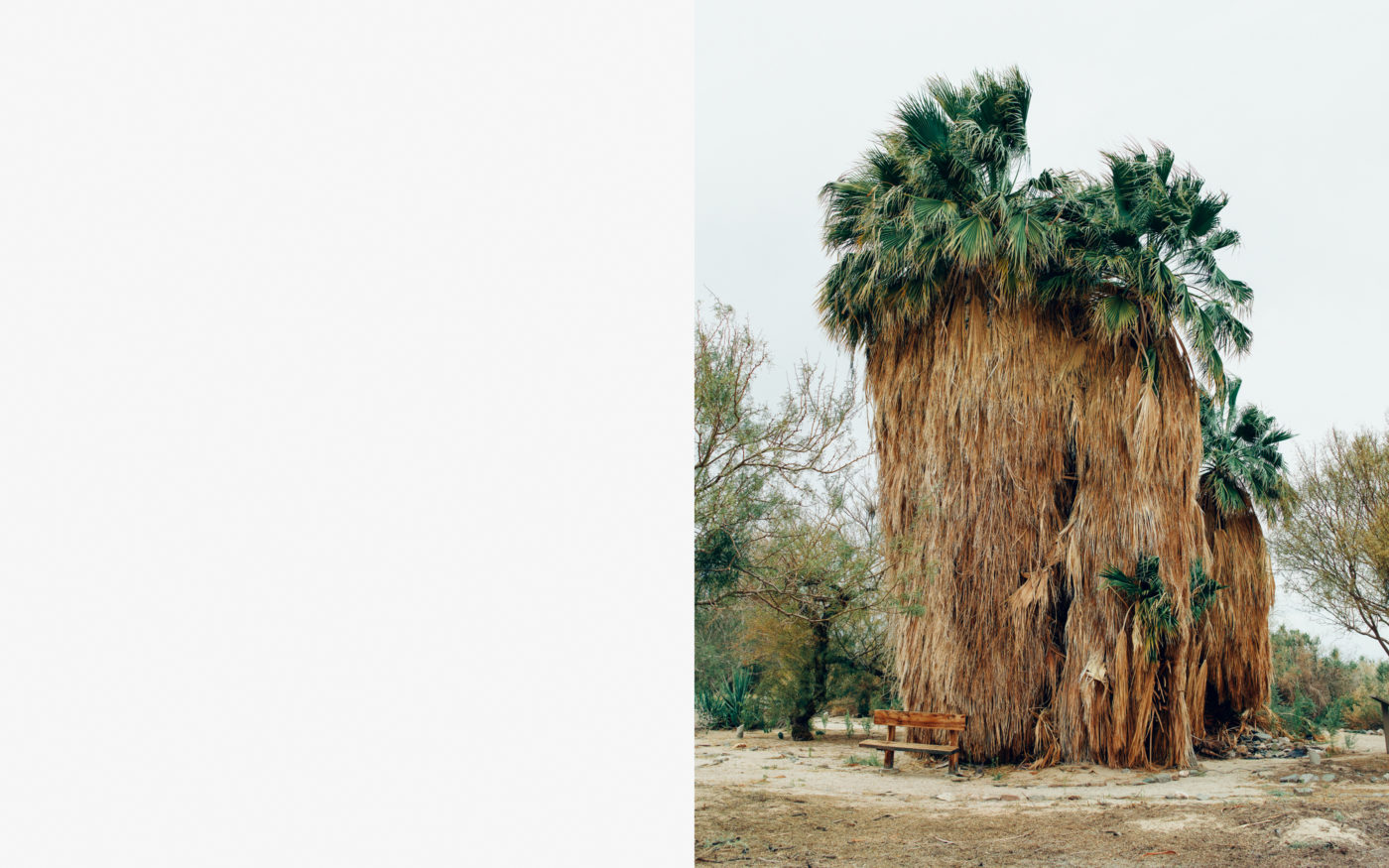 Salton Sea, California